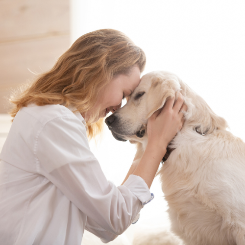 Furr and Pets