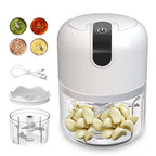 Mini Electric Food Grinder